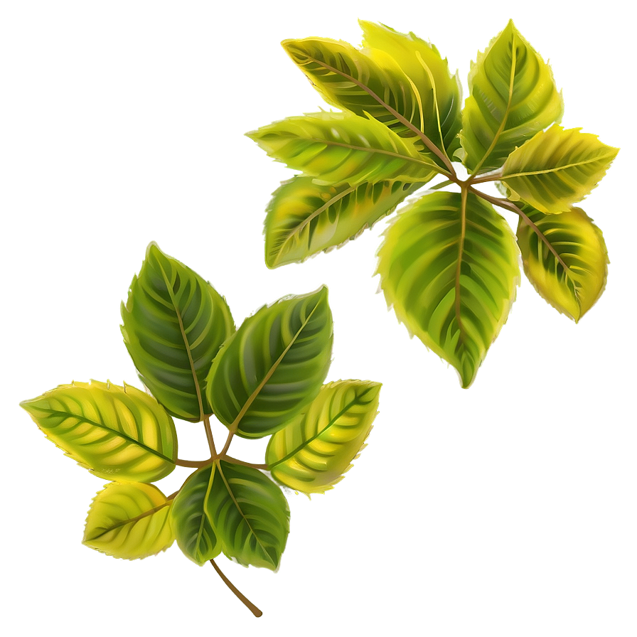 Leaves Descending Png 06132024 PNG image