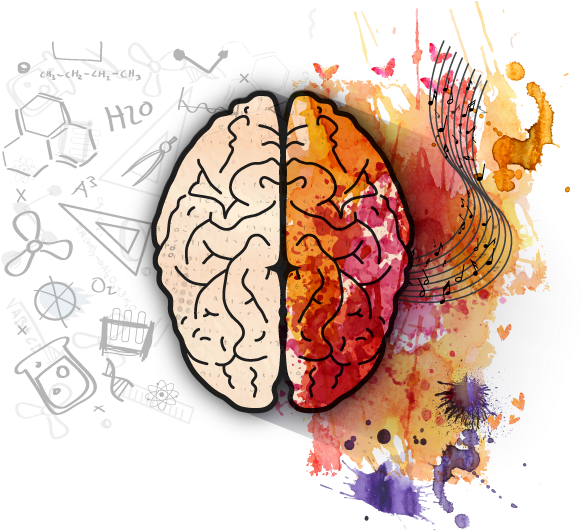 Left Brain Right Brain Creativity PNG image