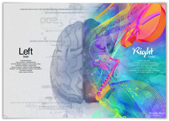 Left Right Brain Functions Illustration PNG image