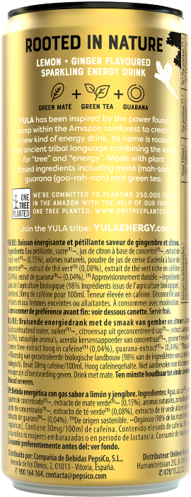 Lemon Ginger Flavored Energy Drink Can PNG image