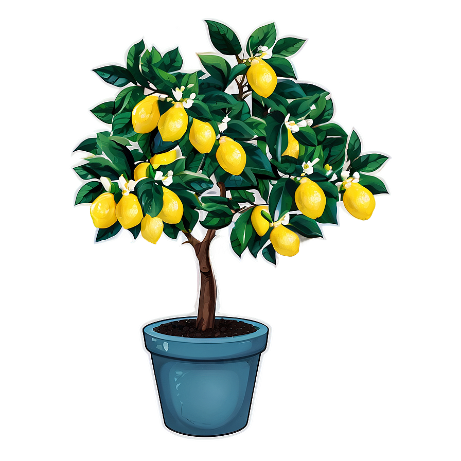 Lemon Tree In Pot Illustration Png 31 PNG image