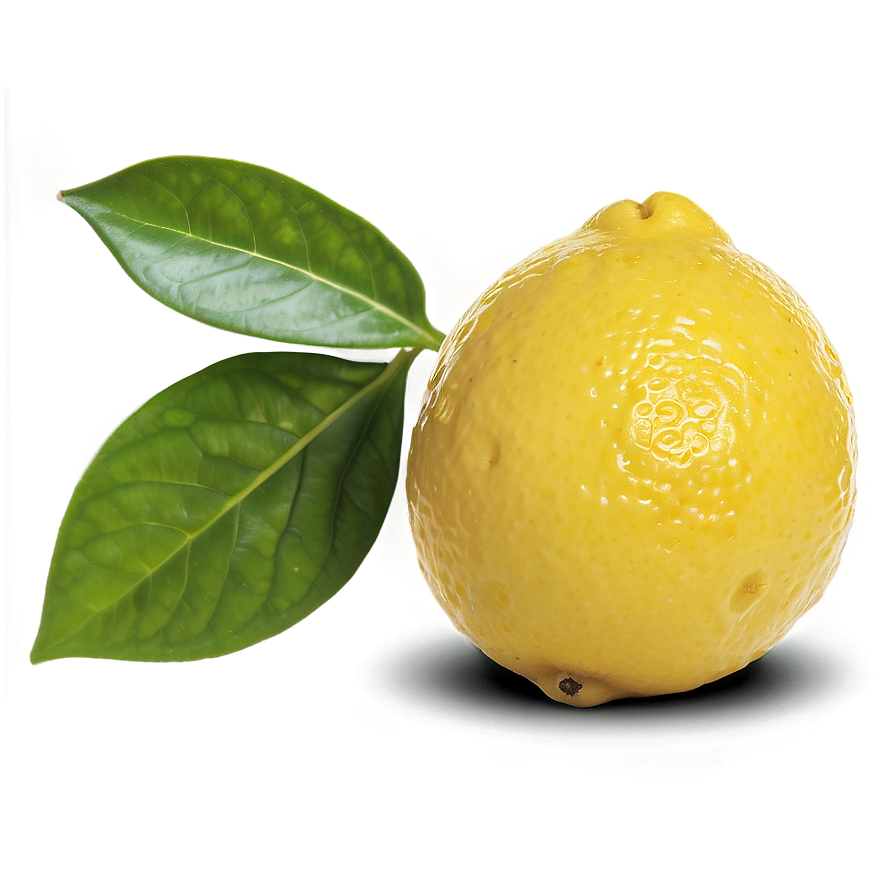 Lemon With Shadow Png 79 PNG image