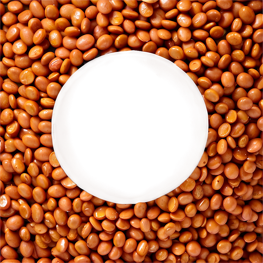 Lentils Beans Png Soi PNG image