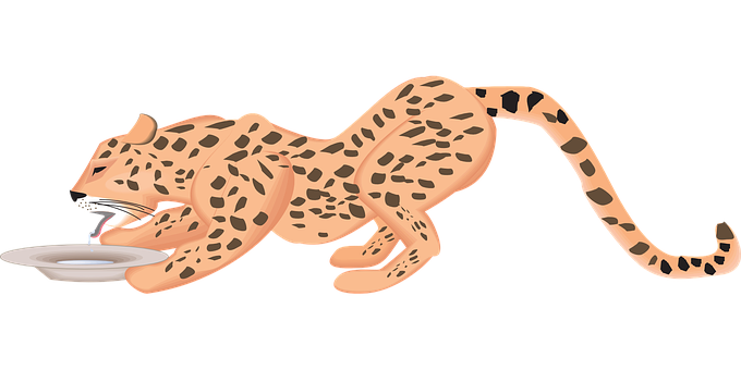 Leopard Drinking Milk Illustration PNG image