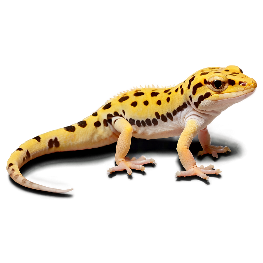 Leopard Gecko Png 52 PNG image