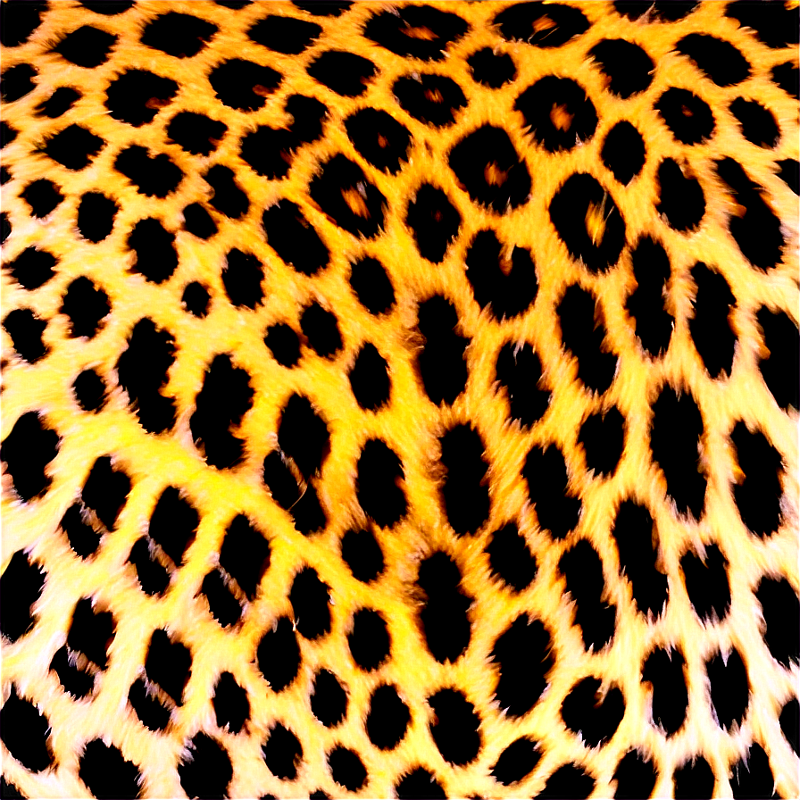 Leopard Pattern Overlay Png Hhr55 PNG image