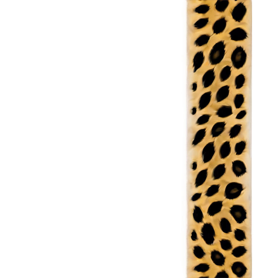 Leopard Print Border Png 05212024 PNG image