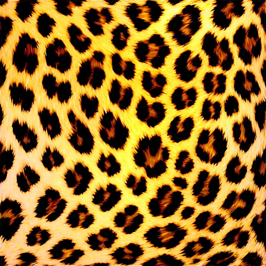 Leopard Print Border Png 06272024 PNG image