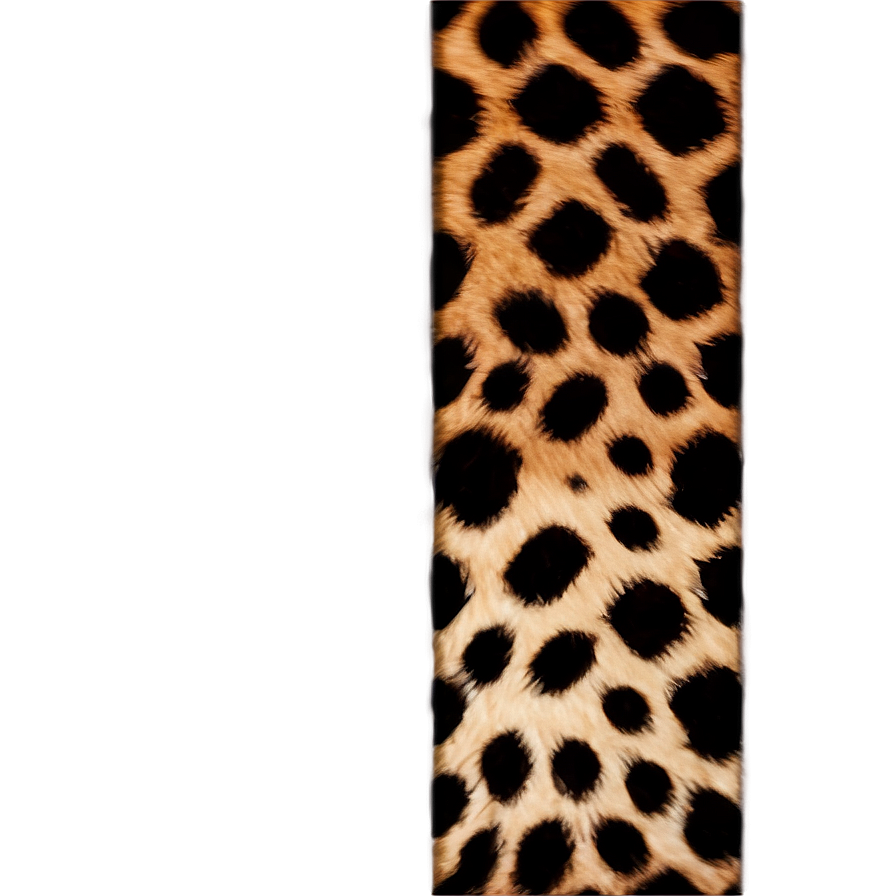 Leopard Print Border Png 06272024 PNG image