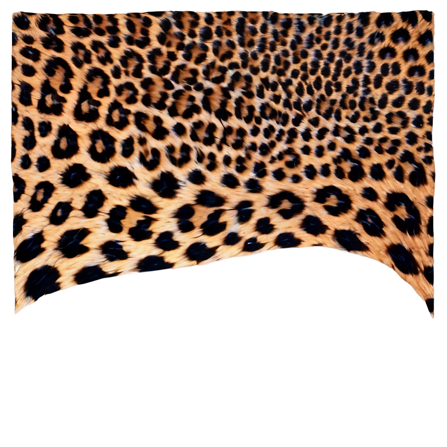 Leopard Print Clipart Png 05212024 PNG image