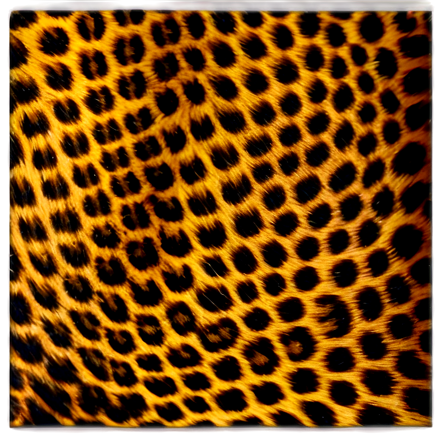 Leopard Print Icon Png 05212024 PNG image