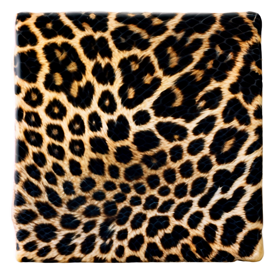 Leopard Spots B PNG image