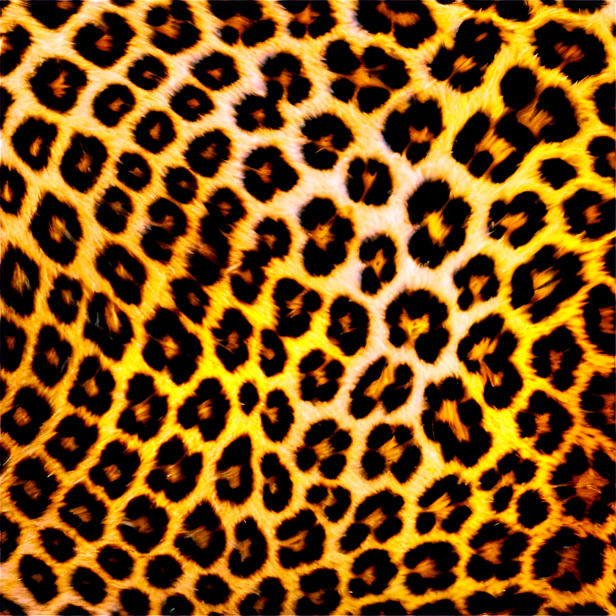 Leopard Spots D PNG image