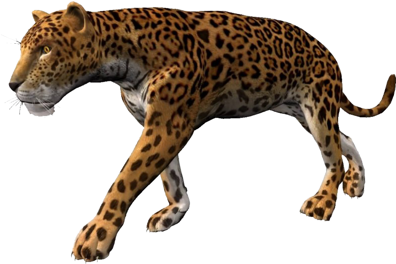 Leopardin Stride.png PNG image