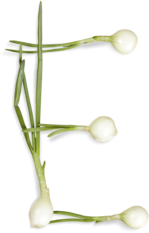 Letter E Formedby Spring Onions PNG image