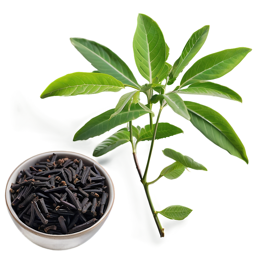 Licorice Tea Leaf Png 25 PNG image