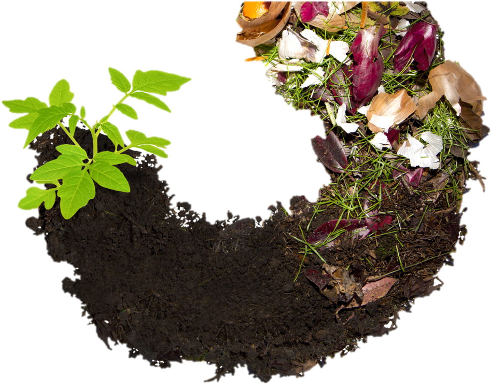 Life Cycleof Soiland Compost PNG image