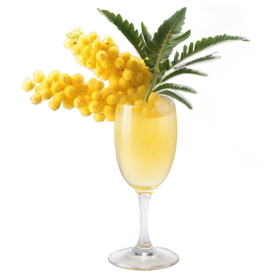 Light And Airy Mimosa Png Avh42 PNG image