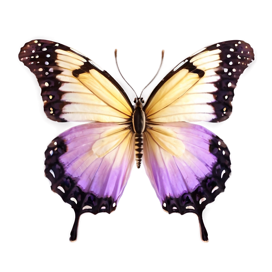 Light Purple Butterfly Png 37 PNG image