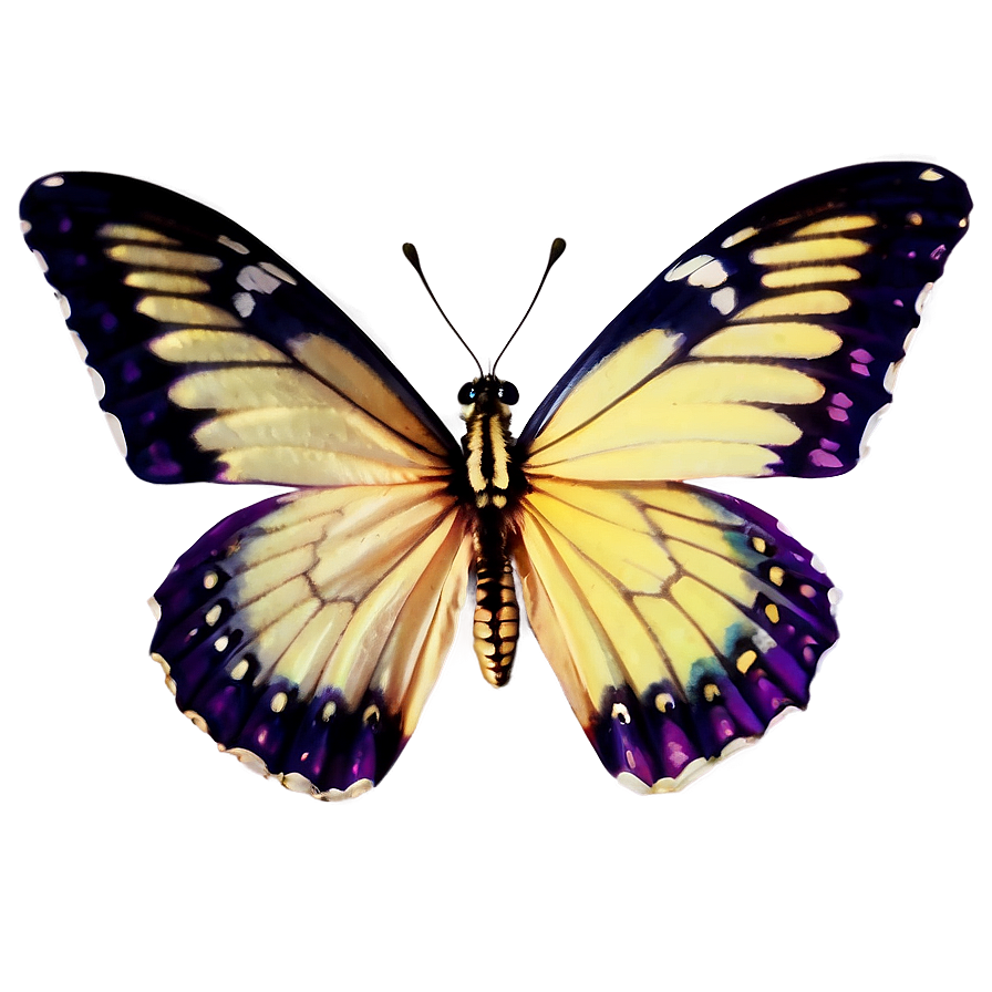 Light Purple Butterfly Png 94 PNG image
