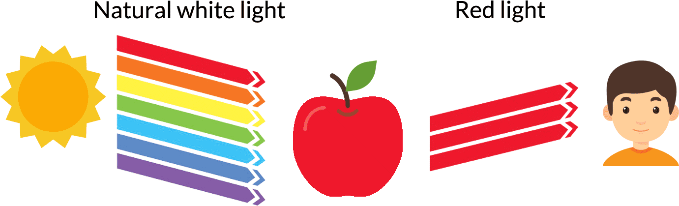 Light Spectrum Comparison Illustration PNG image