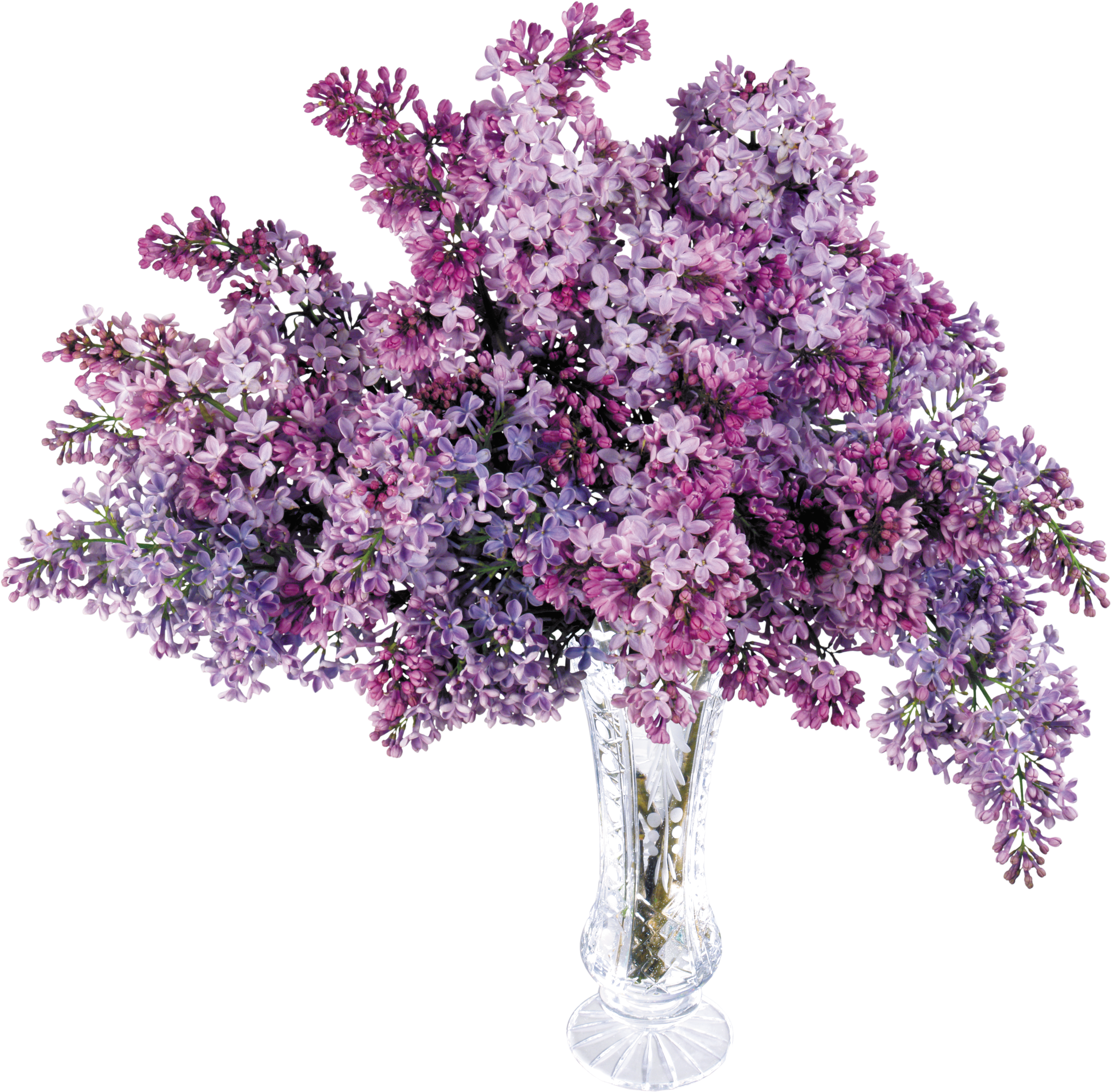 Lilac Bouquetin Crystal Vase PNG image