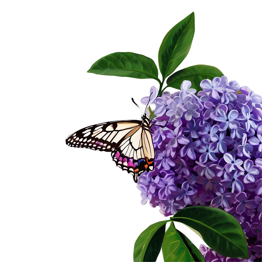 Lilac Butterfly Png Etd72 PNG image