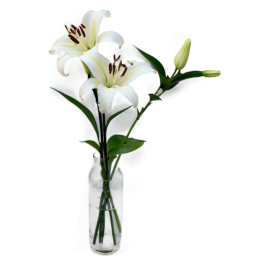 Lilies In Vase Png 06272024 PNG image