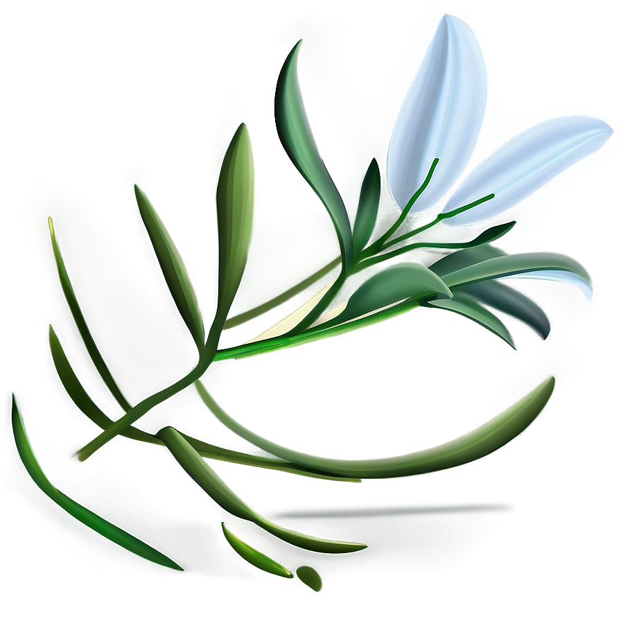 Lily Flower Seed Png Msg78 PNG image