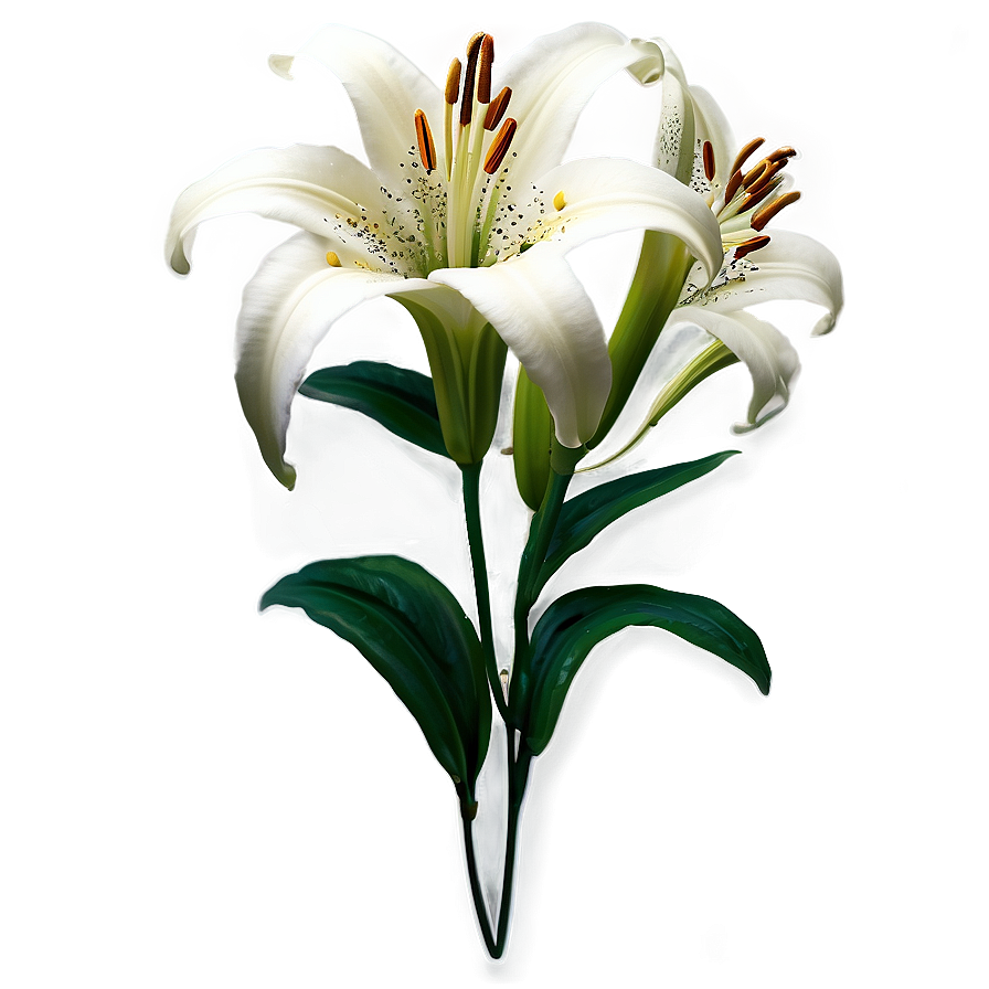 Lily Flower Sticker Png Mmj37 PNG image