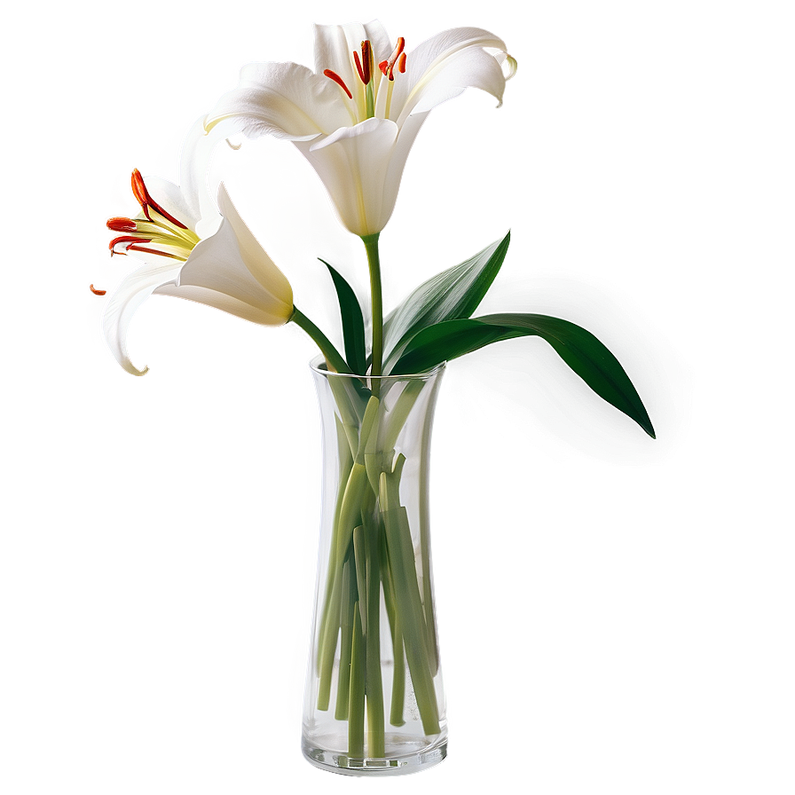 Lily Flower Vase Png 06272024 PNG image