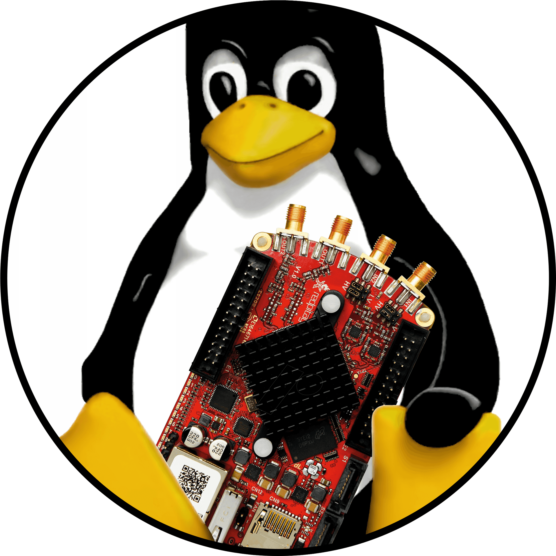 Linux Penguin Holding Motherboard PNG image