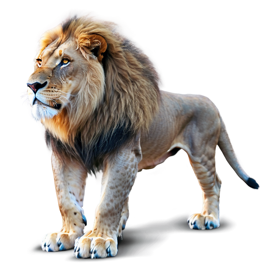 Lion King Of Beasts Png Pen1 PNG image