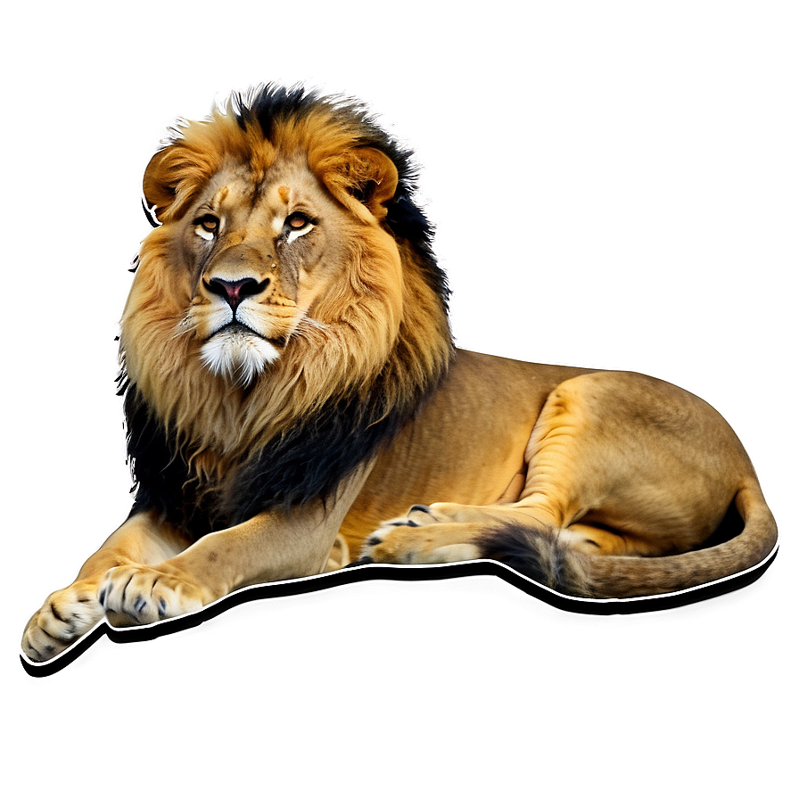 Lion Of Judah In Nature Png Bct60 PNG image