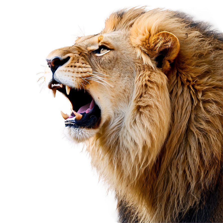 Lion Roaring Loud Png 81 PNG image