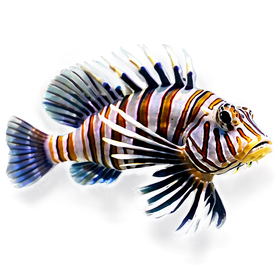 Lionfish B PNG image