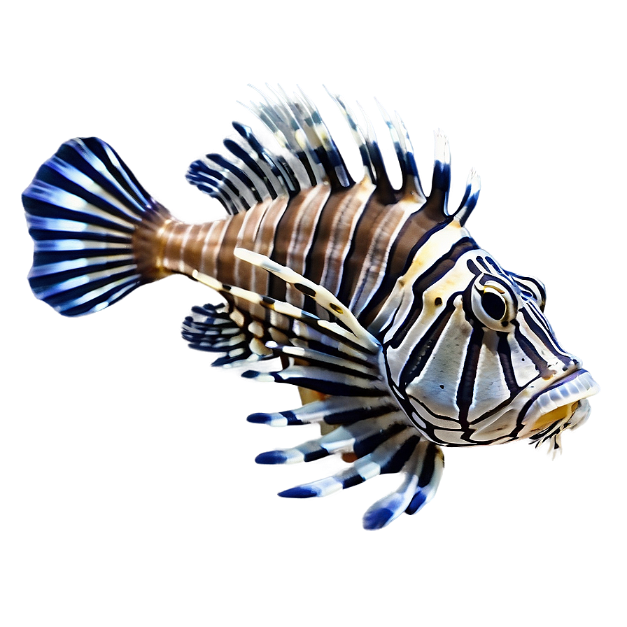 Lionfish Conservation Png 38 PNG image