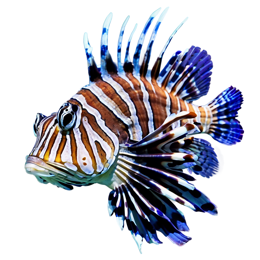 Lionfish Habitat Png Cxu PNG image