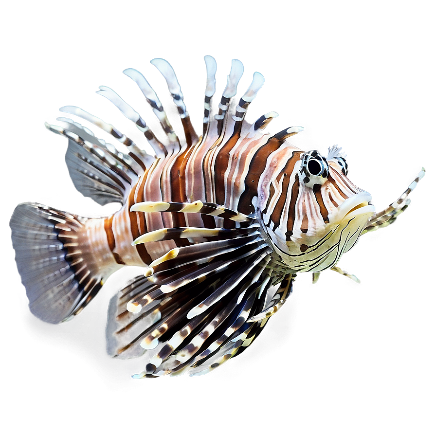 Lionfish In Coral Reef Png 10 PNG image