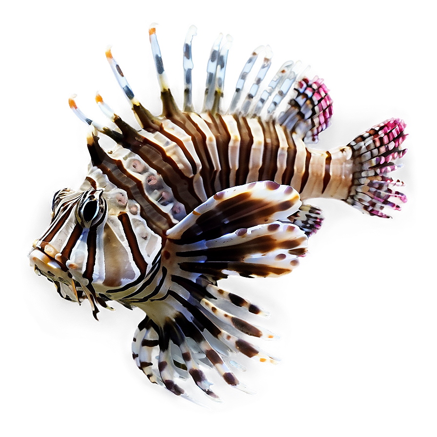 Lionfish Invasion Png 31 PNG image