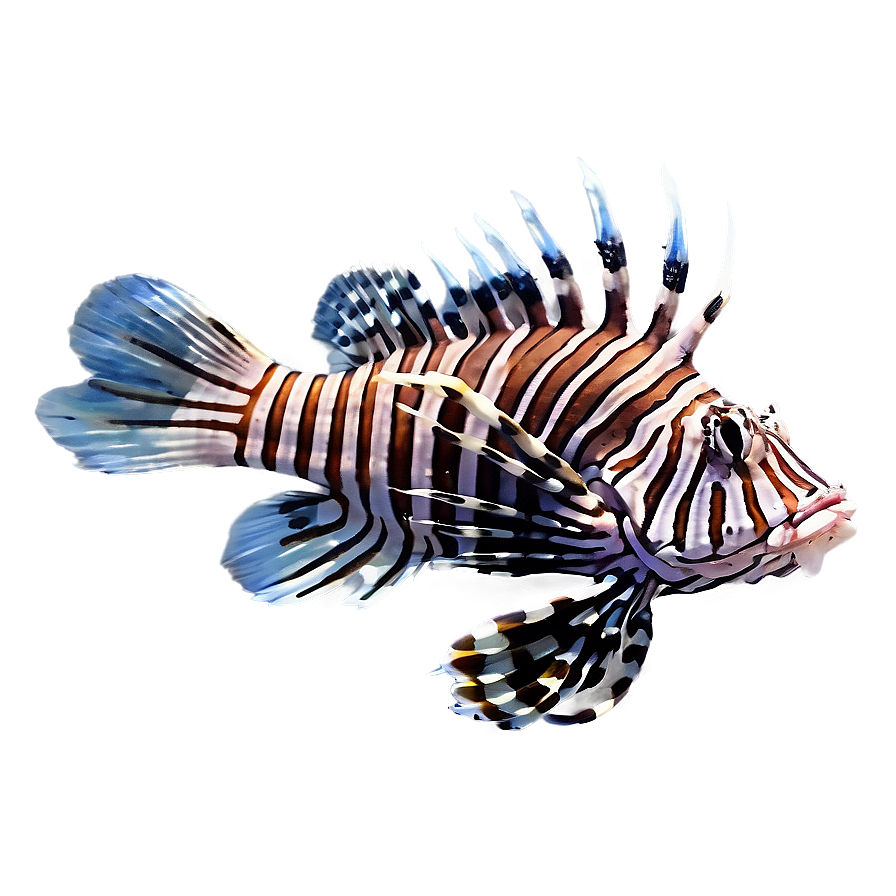 Lionfish Isolated On White Png 35 PNG image