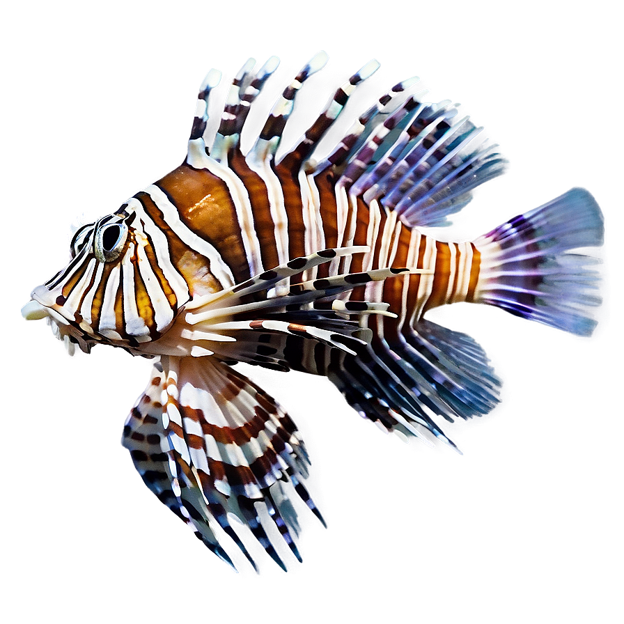 Lionfish Marine Life Png Dpr15 PNG image