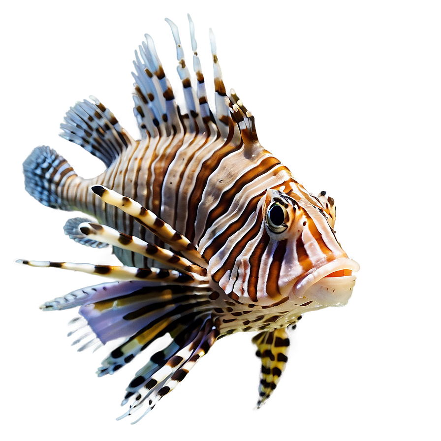 Lionfish Species Png Rvh84 PNG image