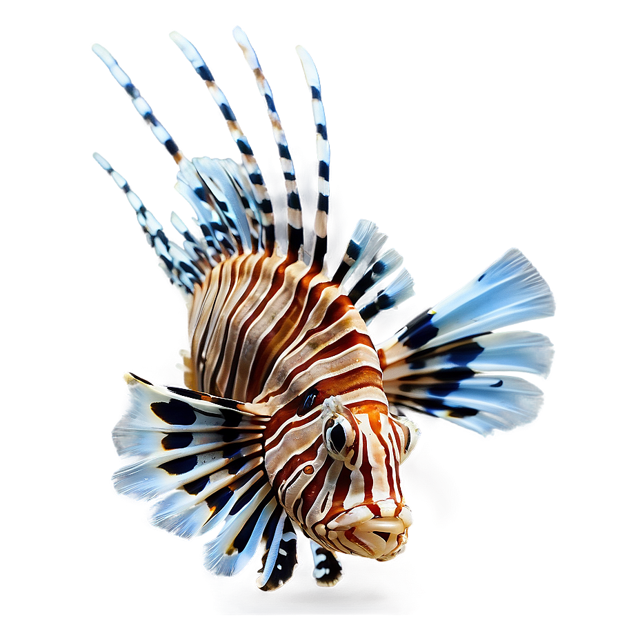 Lionfish Swimming Png 06292024 PNG image