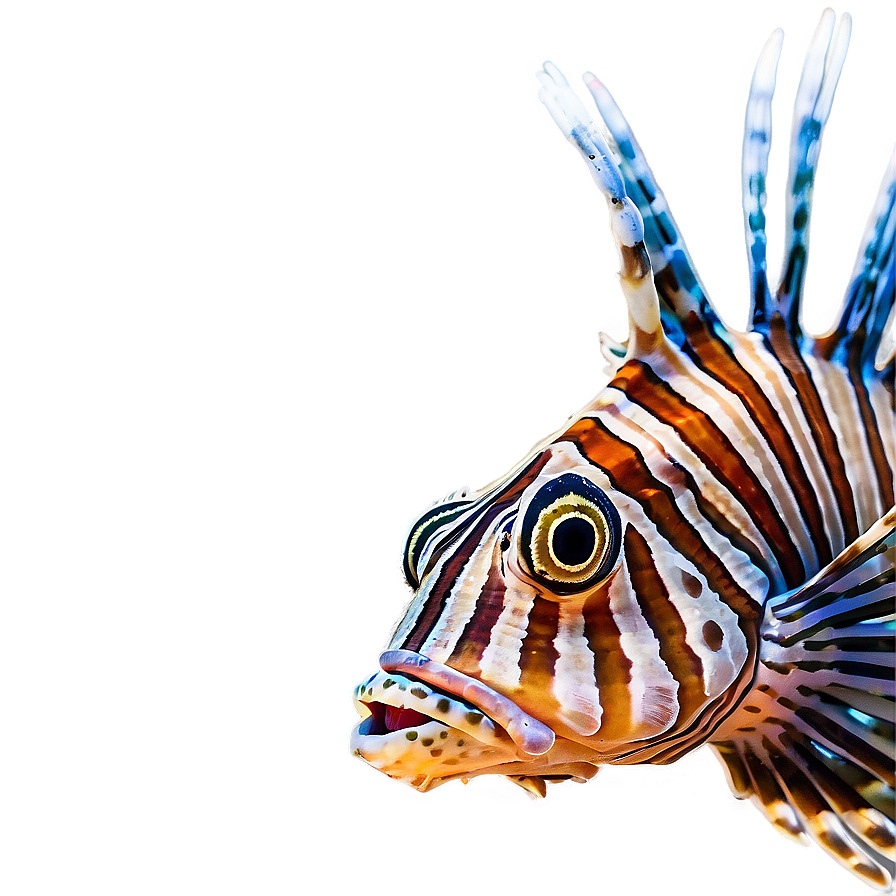 Lionfish Threat Png 85 PNG image