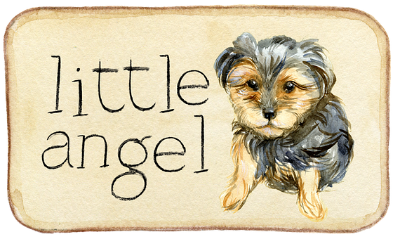 Little Angel Yorkie Puppy Illustration PNG image
