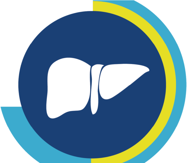 Liver Icon Graphic PNG image