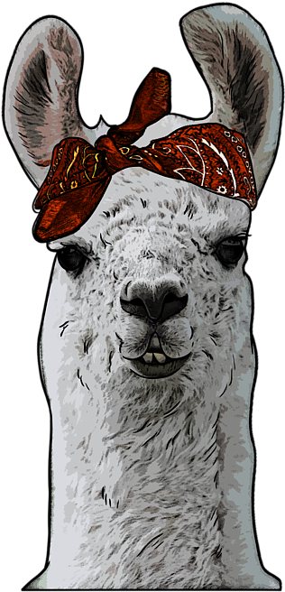 Llamawith Red Bandana PNG image