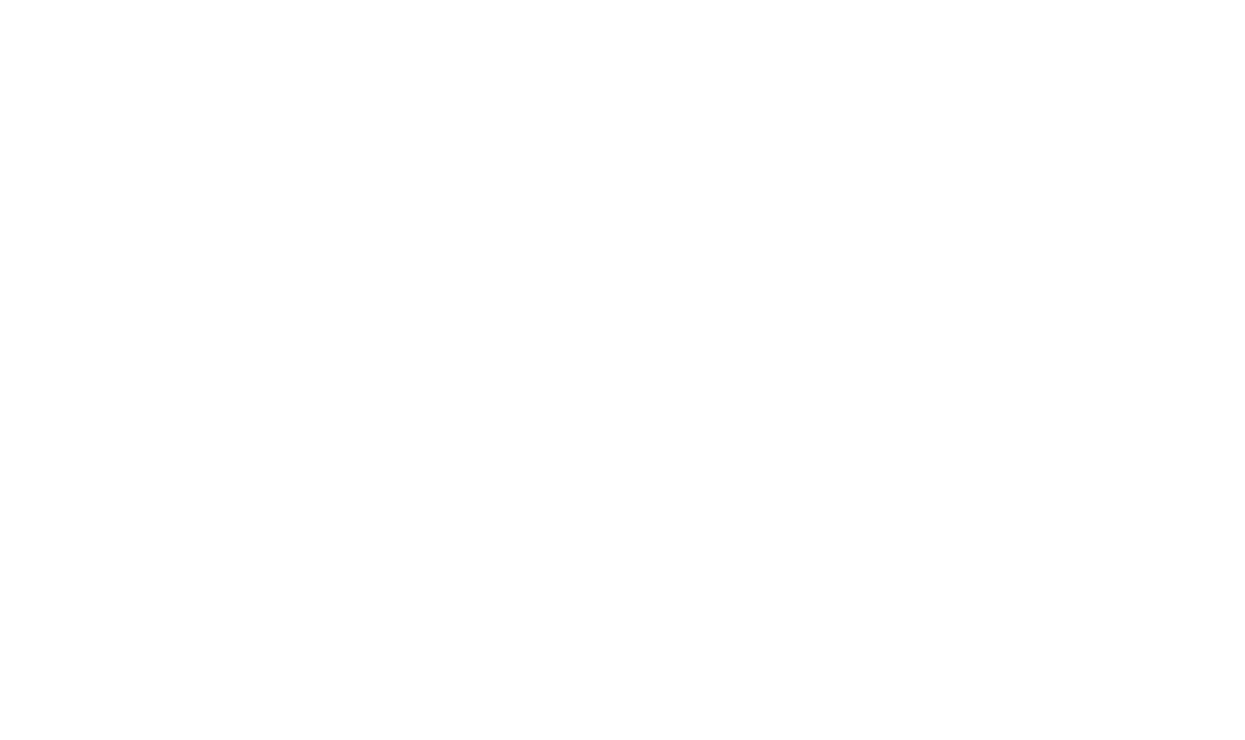 Lone Armadillo Marketing Logo PNG image