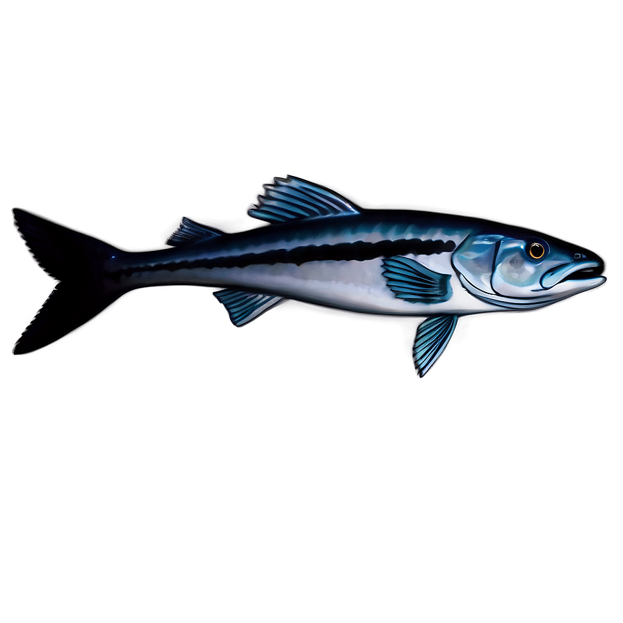 Lone Barracuda Png Fly58 PNG image